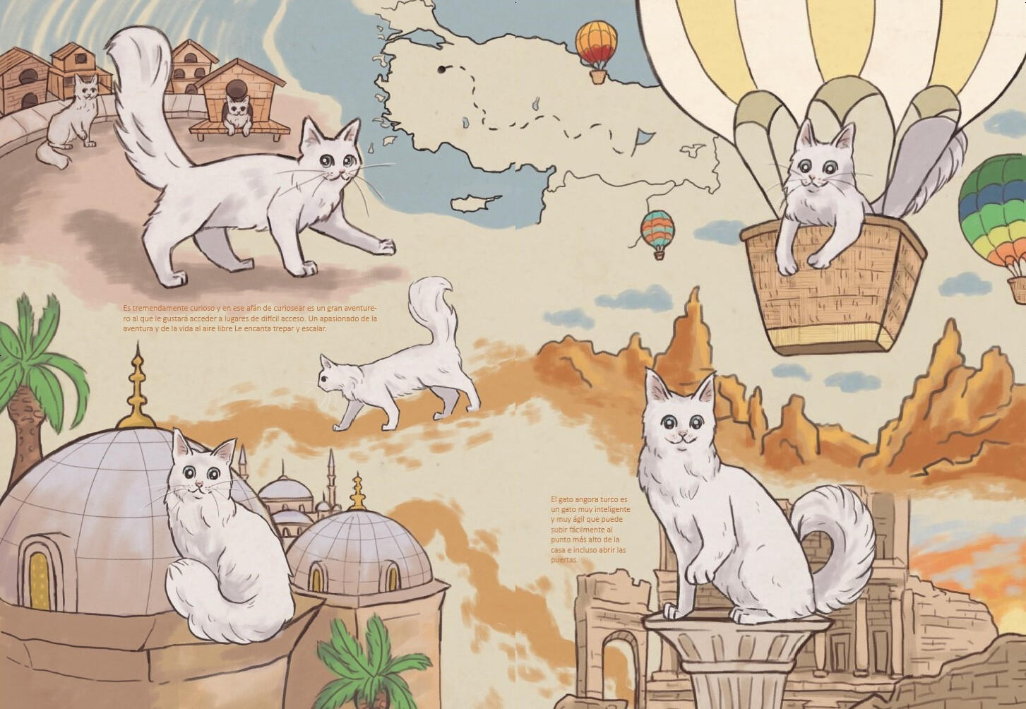 Spread page of my illustrated book "9 breeds of cats"