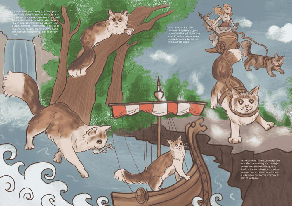 Norwegian Forest