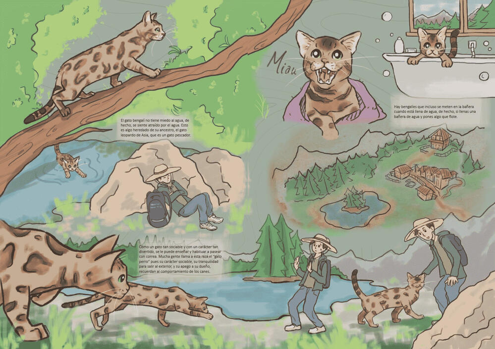 Bengal