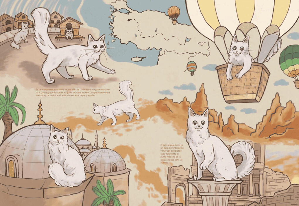 Turkish angora