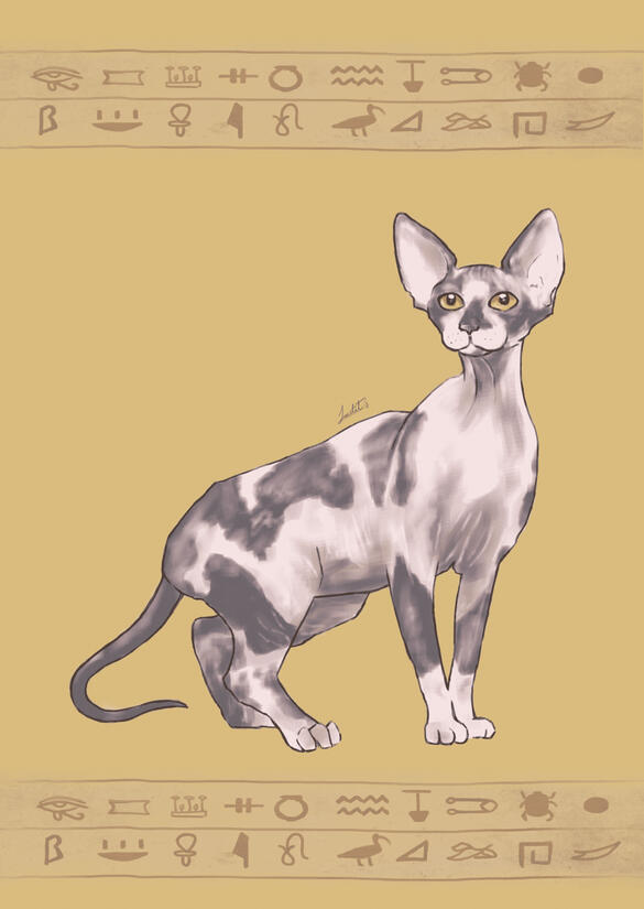 Sphinx