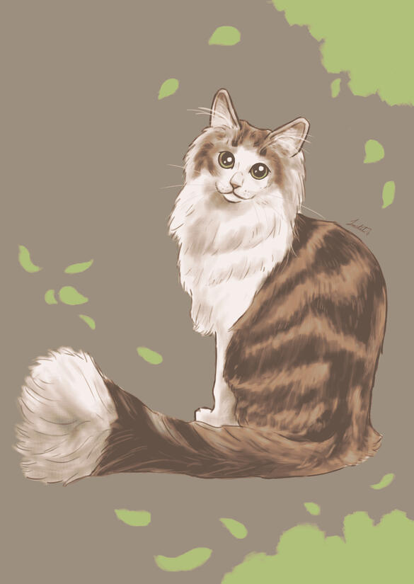 Norwegian Forest