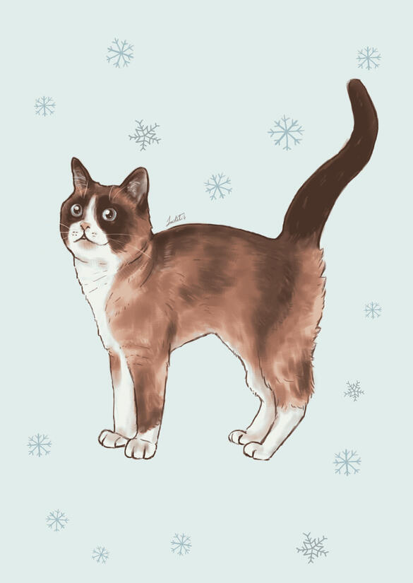 Snowshoe