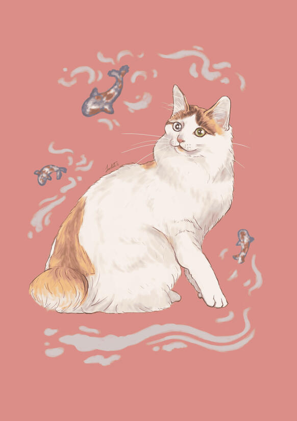 Japanese bobtail