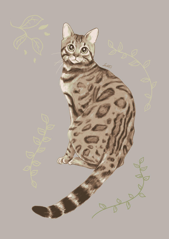 Bengal